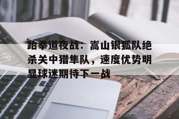 开云官方入口-跆拳道夜战：嵩山银狐队绝杀关中猎隼队，速度优势明显球迷期待下一战的简单介绍