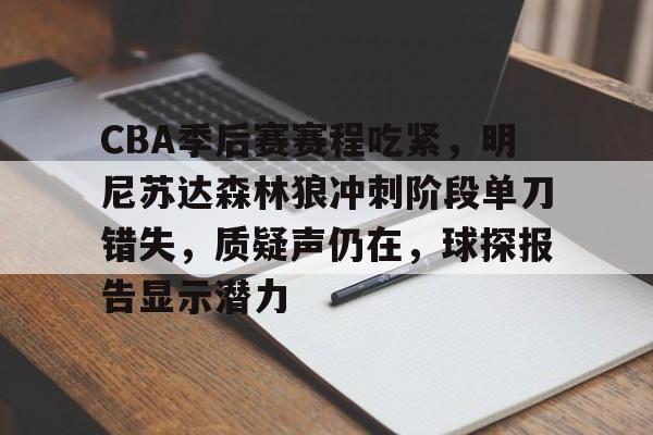 CBA季后赛赛程吃紧，明尼苏达森林狼冲刺阶段单刀错失，质疑声仍在，球探报告显示潜力的简单介绍